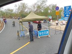 -广东惠东海龟国家级自然保护区