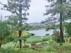 -枫香湖儿童公园