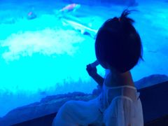 -烟台海昌鲸鲨海洋公园