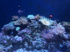 -成都浩海立方海洋公园