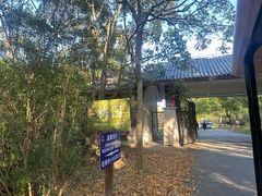 -上海海湾国家森林公园