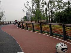 -府河摄影公园