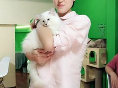 -李小姐の猫咖啡馆(五角场店)