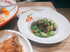 核桃菌拌青瓜-九毛九西北菜(番禺万达店)
