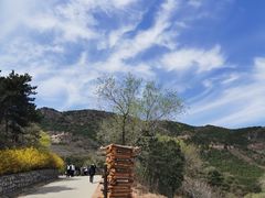 -北京西山国家森林公园