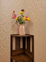 -兰派国际美容养生SPA