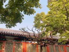 -北京颐和宾馆