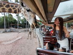 -清迈夜间动物园