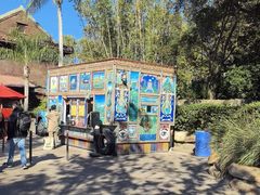 -奥兰多迪士尼动物王国乐园