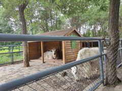 -长白岛森林公园