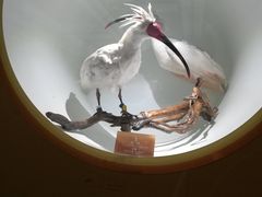 -陕西自然博物馆