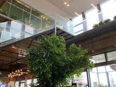 -了不起的考拉咖啡店(高新店)