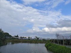 -马陆小张葡萄园农家乐