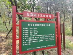 -北京十三陵国家森林公园蟒山景区