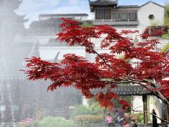 -江宁织造博物馆