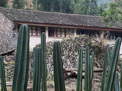 -MOJ coffee(瓯海泽雅水碓坑店)