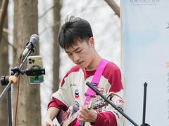 -杭州湾海上花田景区