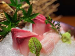 -Hi City·城市之巅