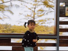 -昆山城市生态森林公园