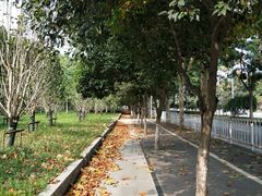 -后襄河公园