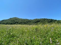 -白草畔自然风景区