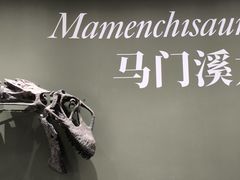 -遇见博物馆(遇见海洋沉浸式奇幻光影展)