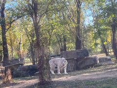 -秦皇岛野生动物园