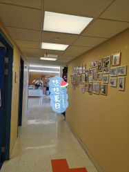 -杭州贝瑞斯美华妇儿医院·早孕·产检·儿科