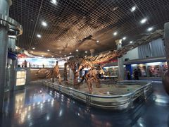 -国家自然博物馆