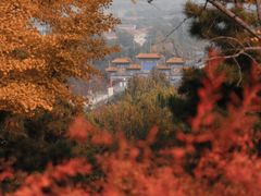 -北京西山国家森林公园