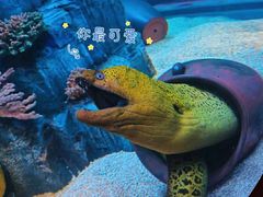 -外滩8号 whisky bar(金延大厦店)