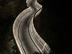 -福道