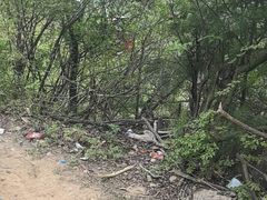 -王顺山国家森林公园