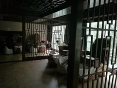 -道合堂·中式按摩·spa(民治店)
