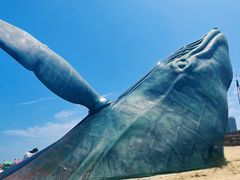 -烟台金沙滩海滨公园