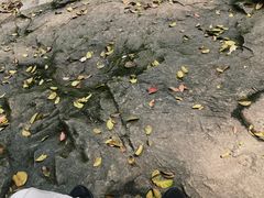 -南漈山