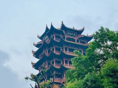 -黄鹤楼公园(黄鹤楼)