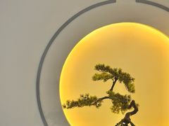 -席仁堂推拿按摩脊柱调理(世纪科贸大厦店)