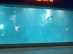 -福州罗源湾海洋世界旅游区