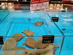 -艳阳天·非遗楚菜(武汉客厅店)