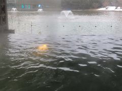 -春晖园度假酒店温泉