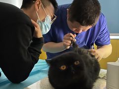 -瑞派·爱瑞可动物医院·口腔专科(广华新城分院)