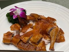 -龙悦湾酒家·八阵鱼生·渔人码头店