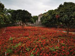 -松山湖梦幻百花洲
