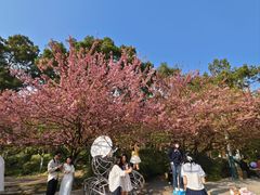 -南山植物园
