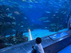 -海合安成都极地海洋公园