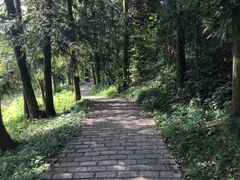 -象山森林公园
