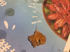 有翅三文鱼-胡桃里音乐酒馆(白云五号T5 MALL店)