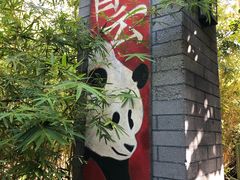 -圣地亚哥动物园
