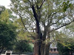 -西湖风景区十里琅珰-五云山